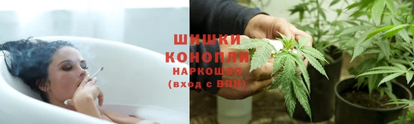 ПСИЛОЦИБИНОВЫЕ ГРИБЫ Бородино